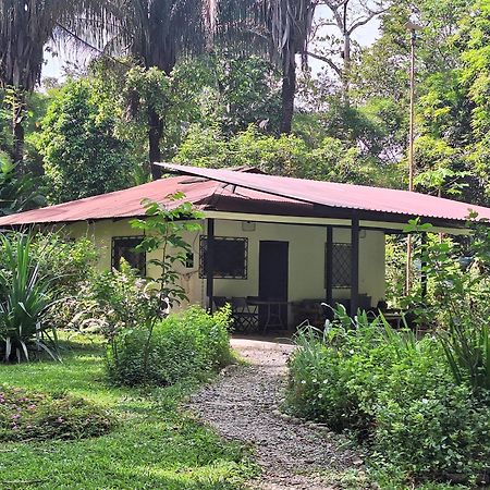 Four Monkeys Eco Lodge Jungle & Beach - The House Cabo Matapalo Εξωτερικό φωτογραφία