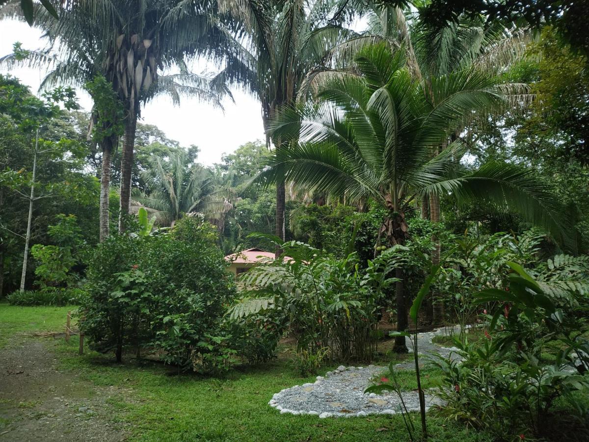 Four Monkeys Eco Lodge Jungle & Beach - The House Cabo Matapalo Εξωτερικό φωτογραφία