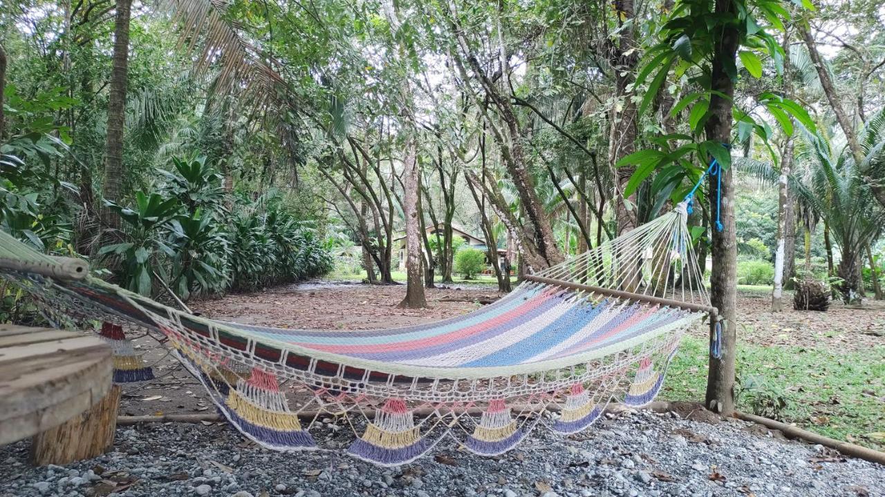 Four Monkeys Eco Lodge Jungle & Beach - The House Cabo Matapalo Εξωτερικό φωτογραφία