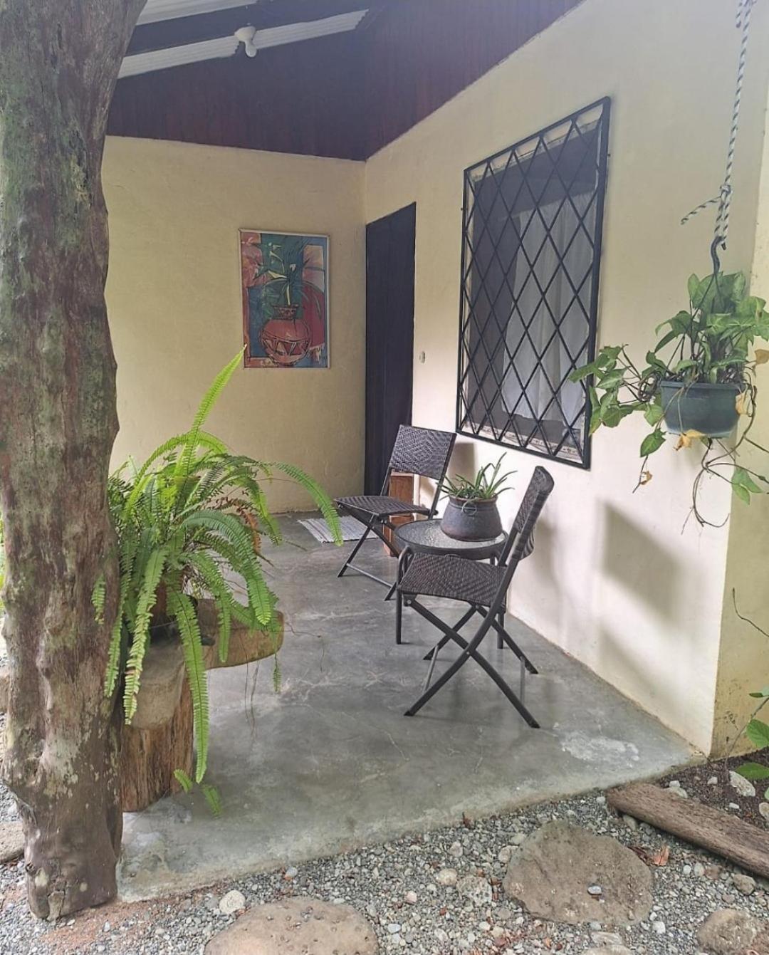 Four Monkeys Eco Lodge Jungle & Beach - The House Cabo Matapalo Εξωτερικό φωτογραφία