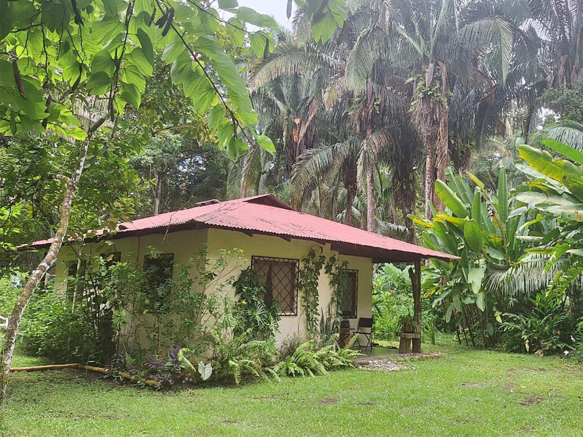 Four Monkeys Eco Lodge Jungle & Beach - The House Cabo Matapalo Εξωτερικό φωτογραφία