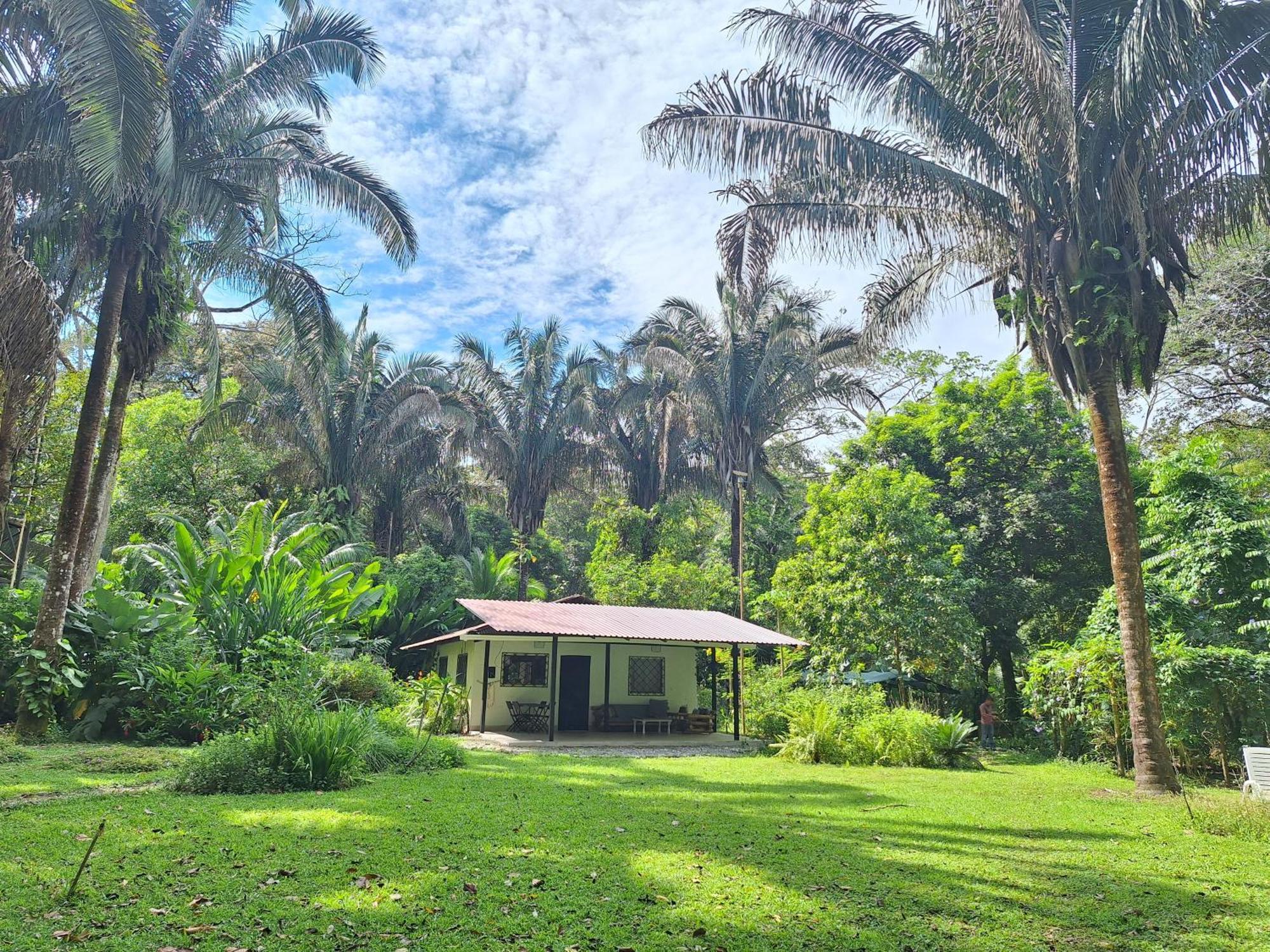 Four Monkeys Eco Lodge Jungle & Beach - The House Cabo Matapalo Εξωτερικό φωτογραφία