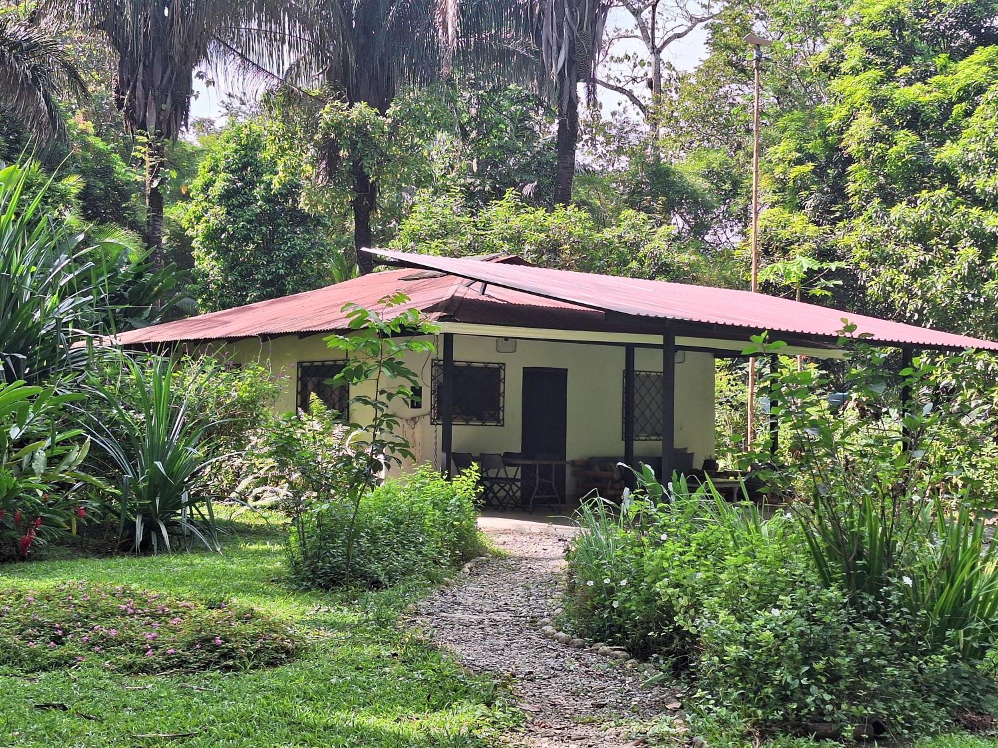 Four Monkeys Eco Lodge Jungle & Beach - The House Cabo Matapalo Εξωτερικό φωτογραφία